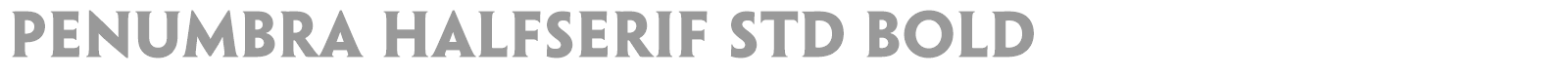 Penumbra HalfSerif Std font preview