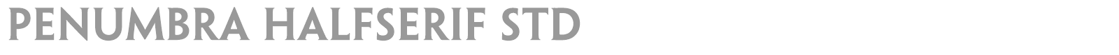 Penumbra HalfSerif Std font preview