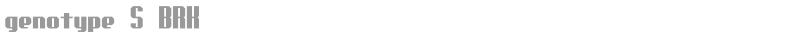 Genotype font preview