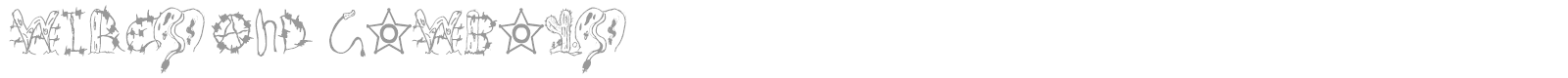 Wires and Cowboys font preview