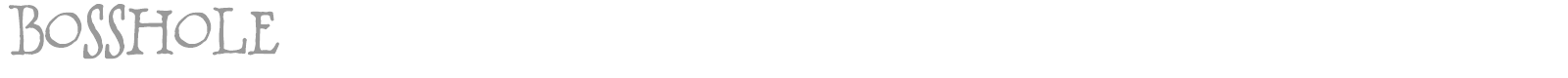 BOSSHOLE font preview