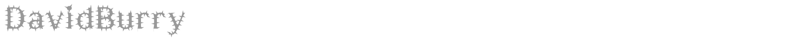 DavidBurry font preview