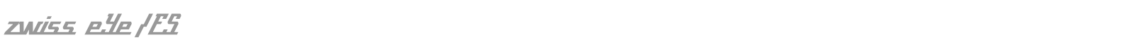 zwiss eYe/FS font preview