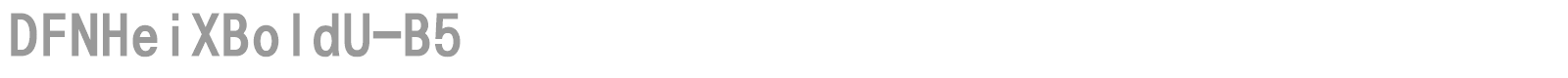 DFNHeiXBoldU-B5 font preview