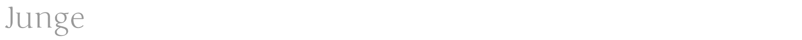 Junge font preview