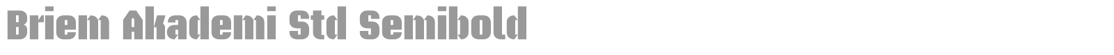 Briem Akademi Std font preview