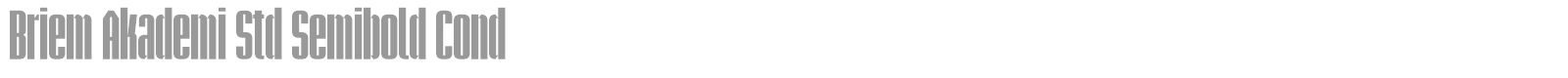 Briem Akademi Std font preview