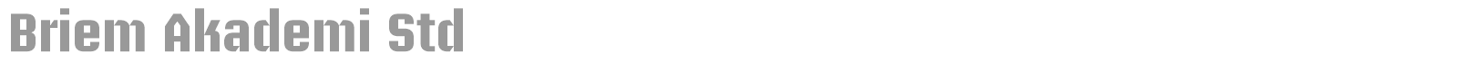 Briem Akademi Std font preview