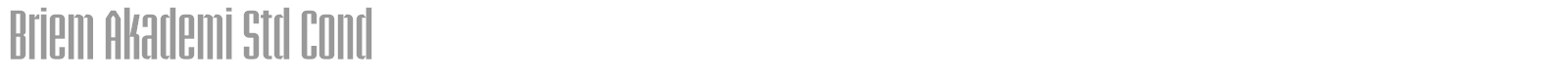 Briem Akademi Std font preview