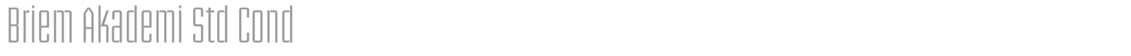 Briem Akademi Std font preview