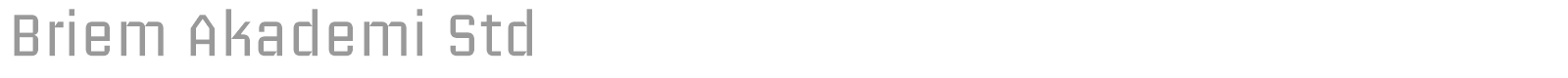 Briem Akademi Std font preview