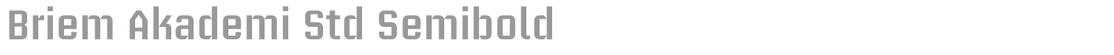 Briem Akademi Std font preview