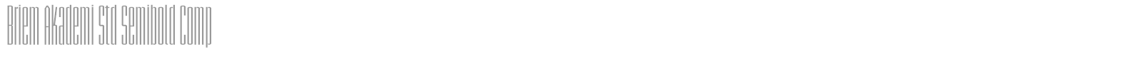 Briem Akademi Std font preview