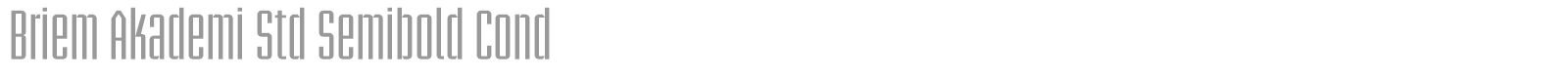 Briem Akademi Std font preview