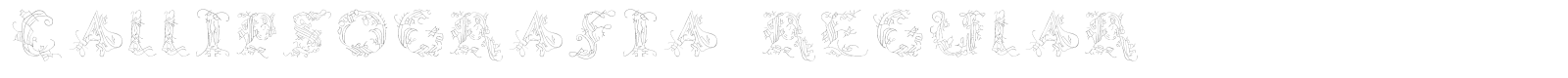 CalliPsoGrafia font preview