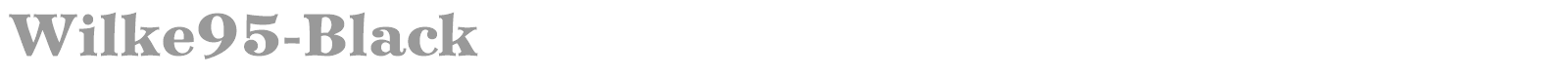 Wilke95-Black font preview