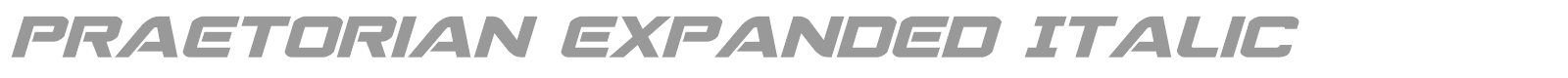 Praetorian Expanded Italic font preview