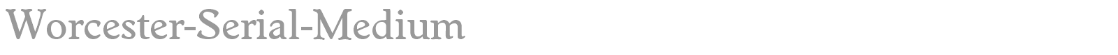 Worcester-Serial-Medium font preview