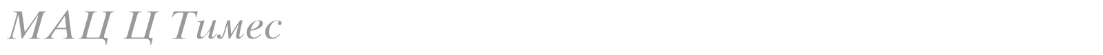 MAC C Times font preview