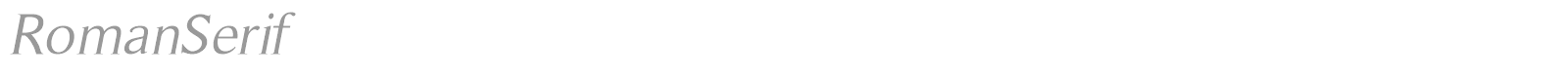Font Roman Serif Oblique