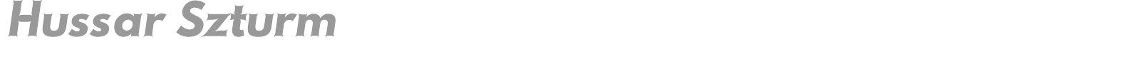 Hussar Szturm font preview
