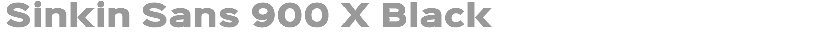 Sinkin Sans Family font preview