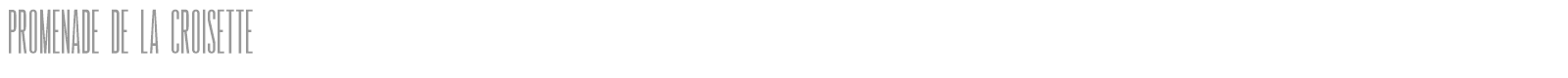 Promenade de la Croisette font preview