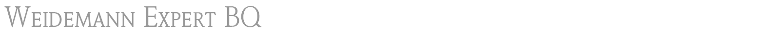 Weidemann Expert BQ font preview