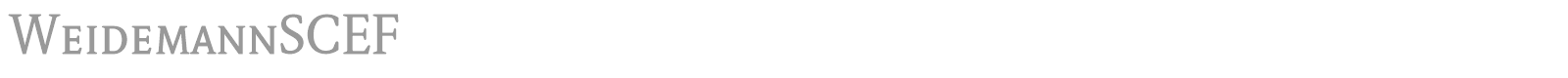 Weidemann Expert BQ font preview