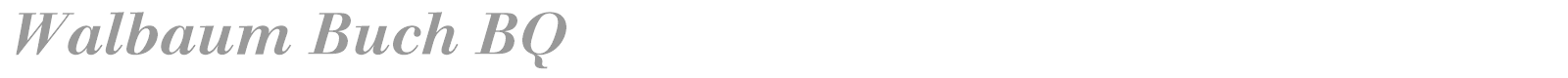 Walbaum Buch BQ font preview