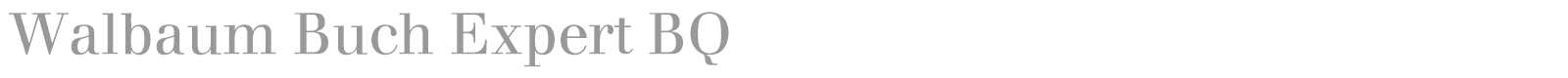 Walbaum Buch BQ font preview