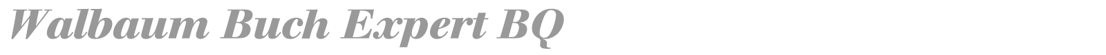 Walbaum Buch Expert BQ font preview