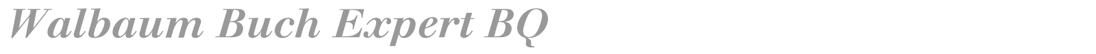 Walbaum Buch Expert BQ font preview