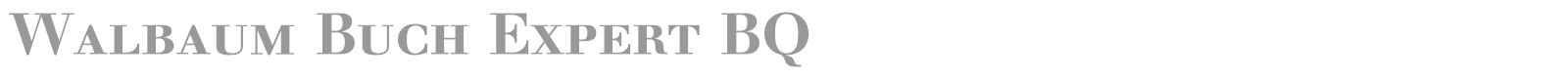 Walbaum Standard Expert BQ font preview