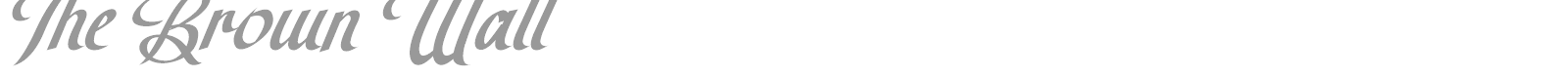 The Brown Wall font preview