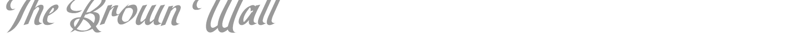 The Brown Wall font preview