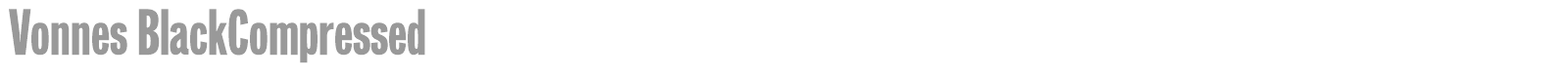 Vonnes font preview