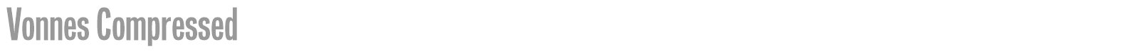 Vonnes font preview