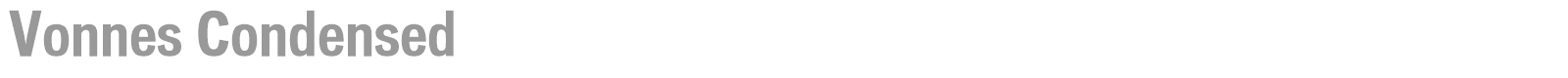Vonnes font preview