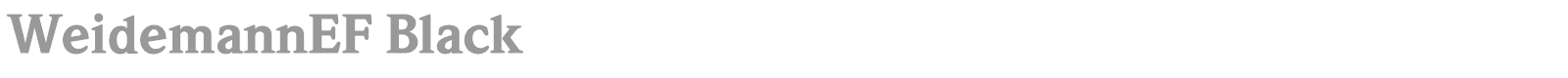 Weidemann font preview
