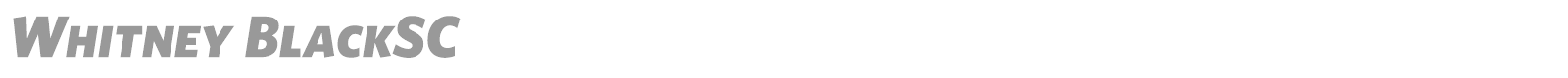 Whitney font preview