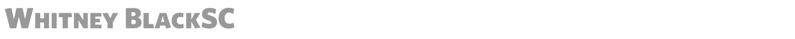 Whitney font preview