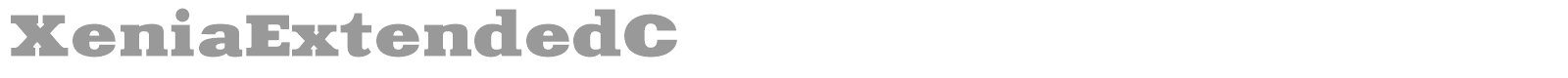 XeniaExtendedC font preview