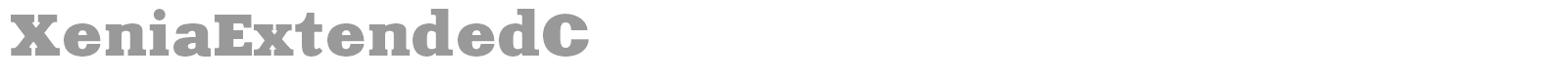 XeniaExtendedC font preview