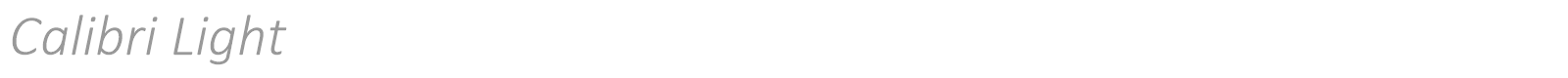 Calibri Light Italic font preview
