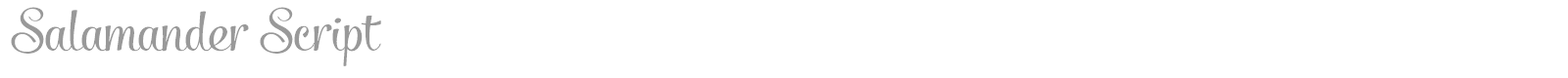 Salamander Script font preview