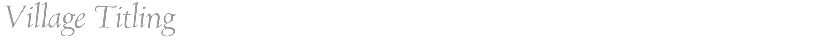 Village font preview