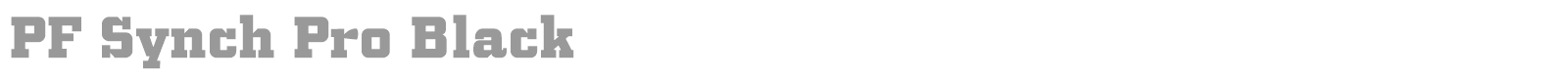 PF Synch Pro Black font preview