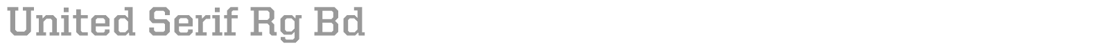United Serif Reg font preview