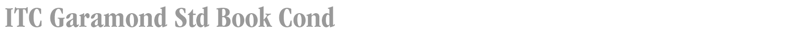 ITC Garamond Std font preview